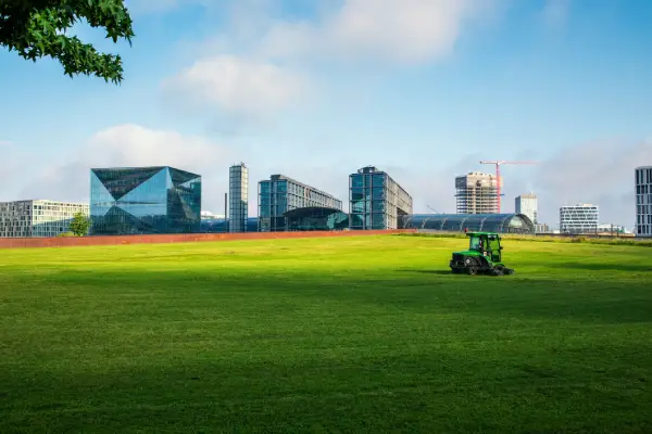 Commercial Landscaping